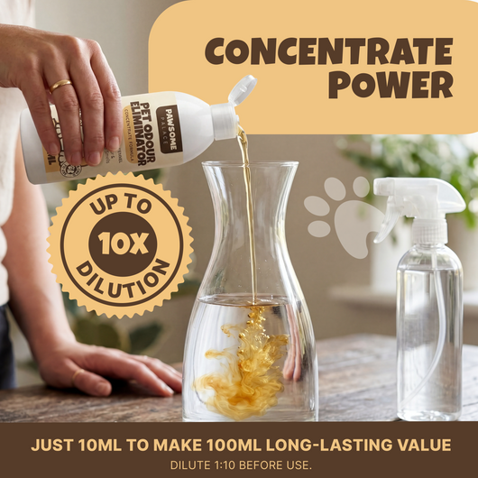The OdourBlaster™ Pet Odour Eliminator | Concentrated Formula