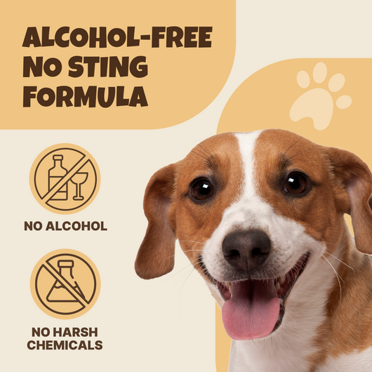 PawCalm™ Pet Ear Cleanser | Gentle Alcohol-free Cleanser